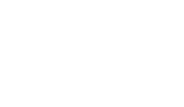 Australian Diabetes Educators Association