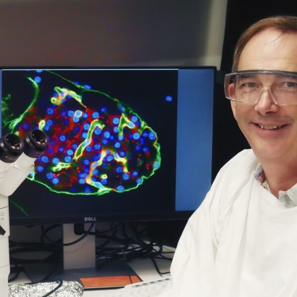 Professor Peter Thorn
